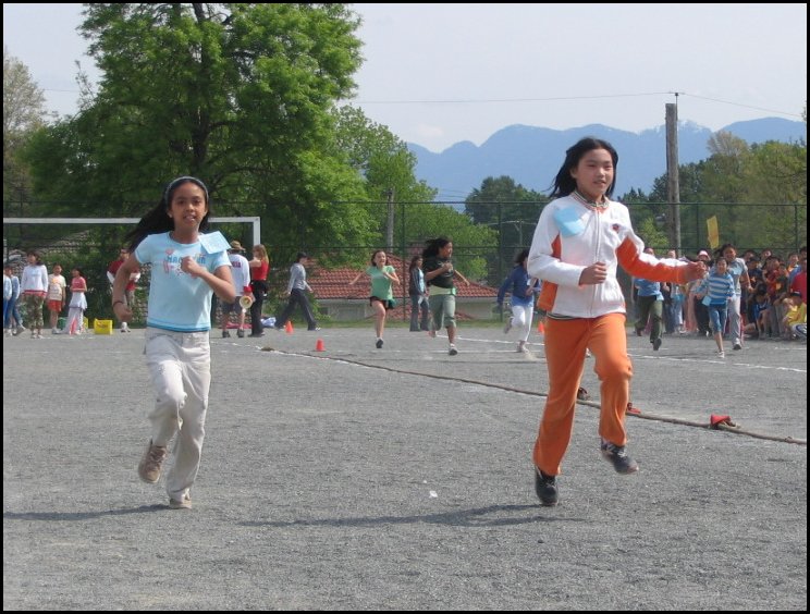 Field 013.jpg